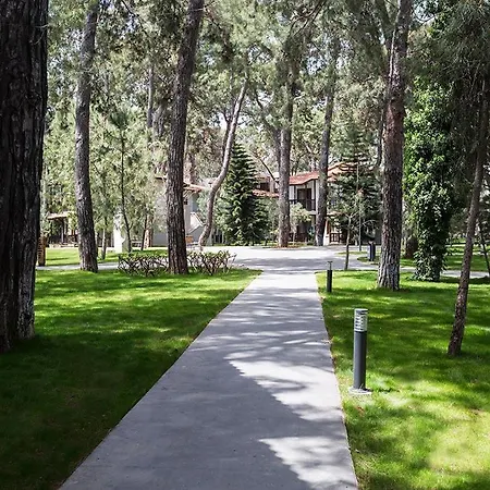 Voyage Sorgun