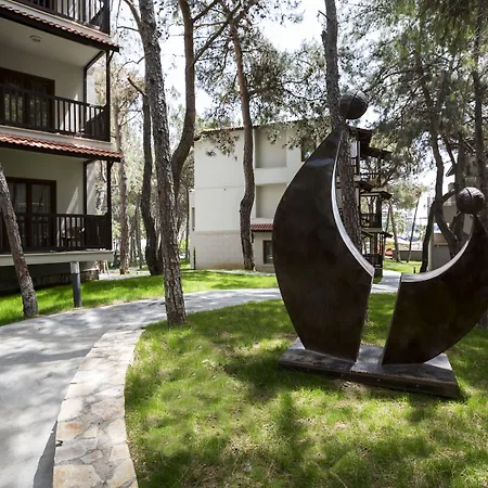 Voyage Sorgun סייד