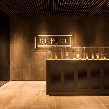 Voyage Sorgun 5* シダ